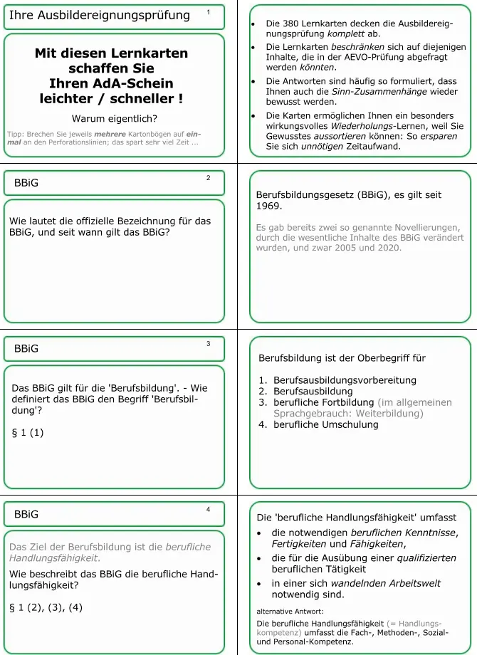 die ersten vier Karten der AEVO-Lernkartei